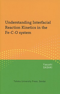Understanding Interfacial Reaction Kinetics in the Fe-C-O system
